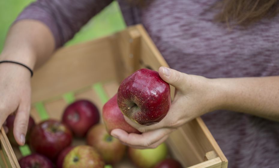 Regionale Lebensmittel