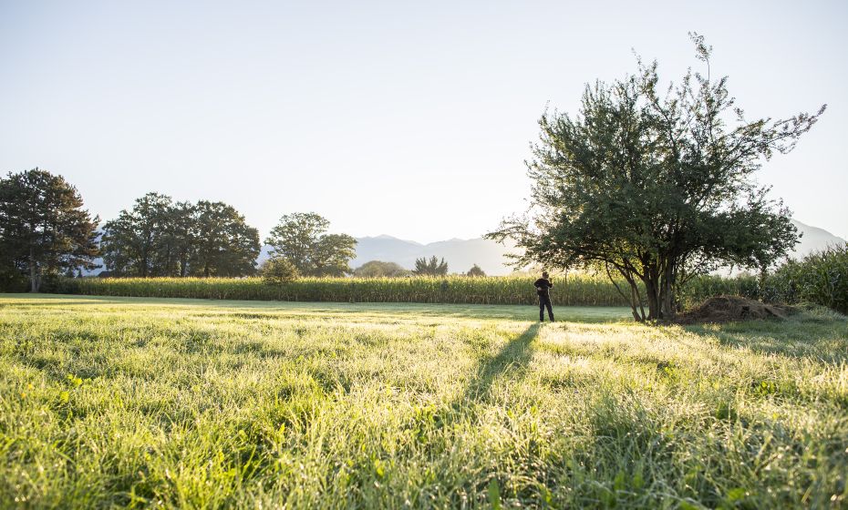 Natur in Vorarlberg Natur in Vorarlberg