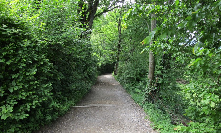 Der Gschliefweg fÃ¼hrt teilweise sanft Richtung Tal, ...