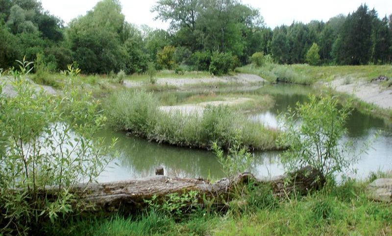 Naturnah gestaltete Landschaft