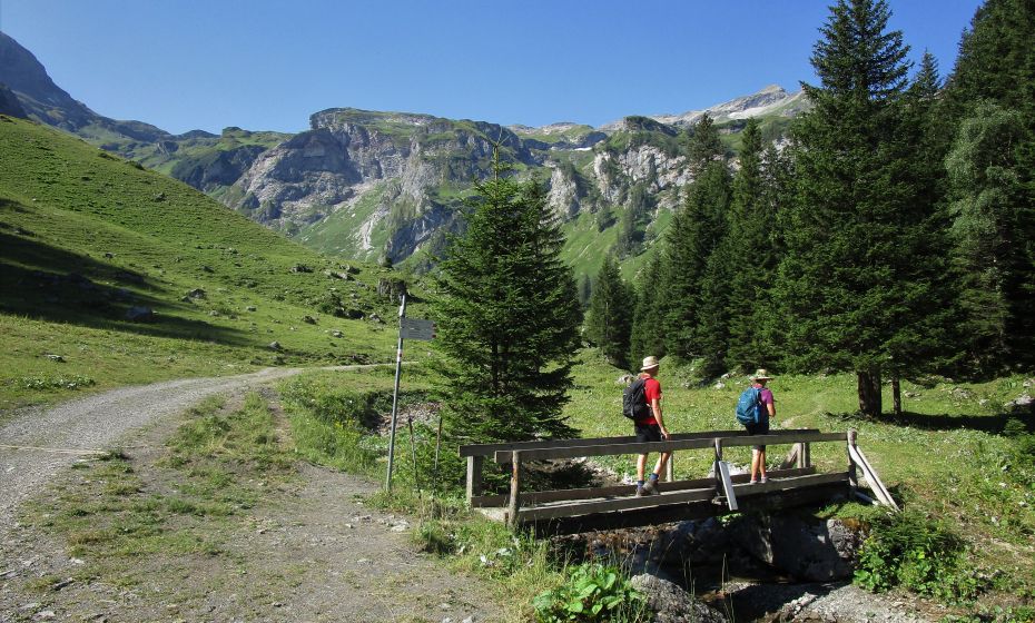 Erich Zucalli - www.guideservice.at Bei der Güfelalpe überqueren wir die noch junge Meng