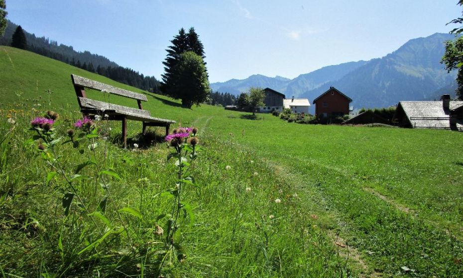 Gleich nach dem Ende des parkplatzes tauchen sie in die ruhige Landschaft ein Gleich nach dem Ende des parkplatzes tauchen sie in die ruhige Landschaft ein