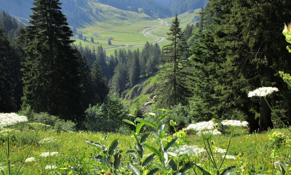 Der Blick zurÃ¼ck ins Garnitzatal zeigt die bereits zurÃ¼ckgelegten HÃ¶henmeter