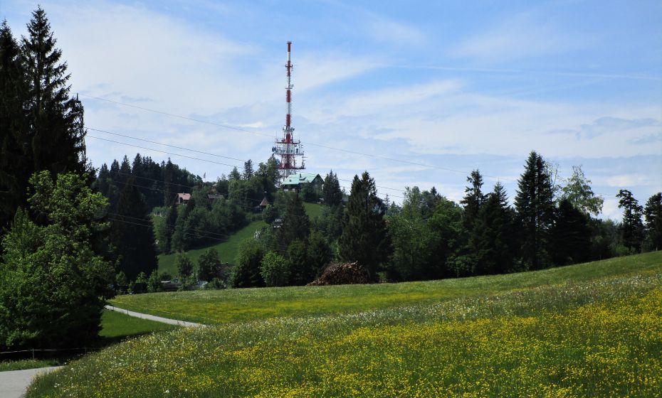 Erich Zucalli - www.guideservice.at Blick zurück auf den Gipfel des Pfänders links vom Sendeturm