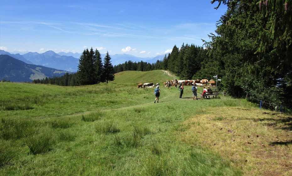 Beim "Lesegatter" erreichen wir den Kamm zwischen Laternsertal und FrÃ¶dischbachtal