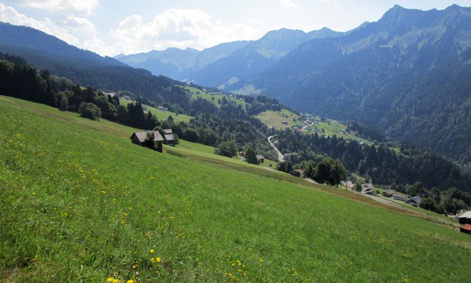 Von fleiÃigen Bauern gepflegte Kulturlanschaft im Laternsertal