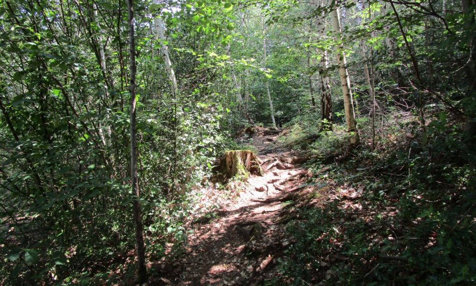 BildschÃ¶ner Weg zum Pfarrschrofen