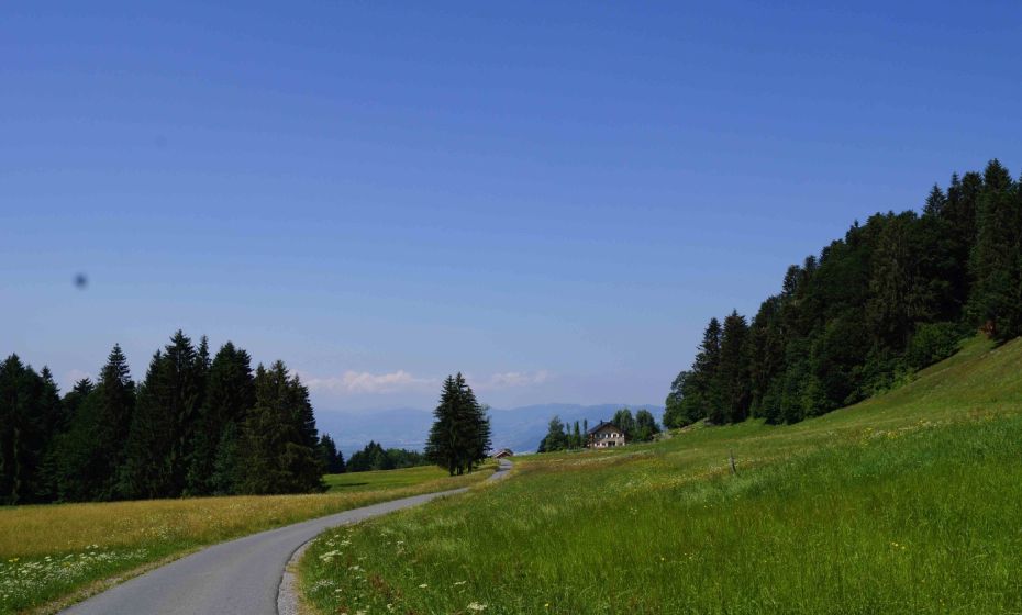 Bodensee-Vorarlberg Tourismus Farnach Moos