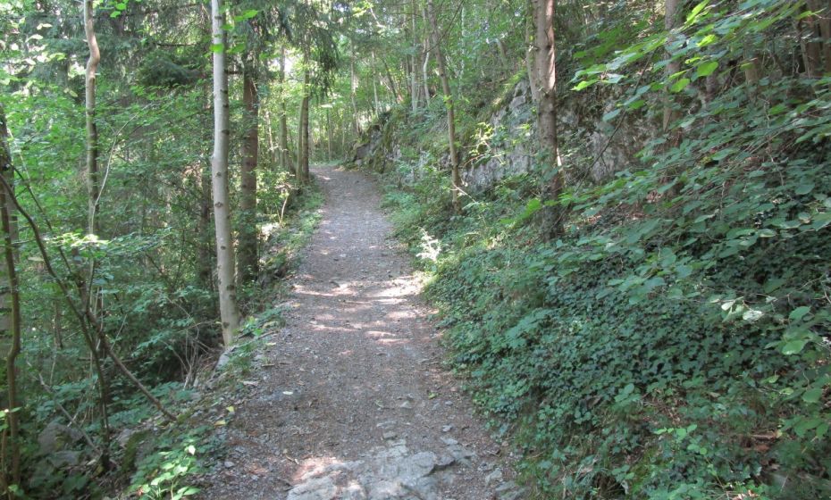 .... Ã¼ber den Schafplatzsteig ...