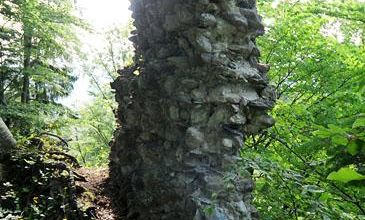 Weiler, Burgruine Alt Montfort Weiler, Burgruine Alt Montfort