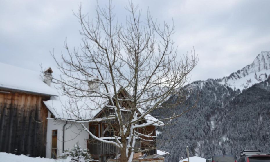 Sunnaschi Appartements - Wohnungen oder gesamt als "Hütte" Sunnaschi Appartements - Wohnungen oder gesamt als "Hütte"