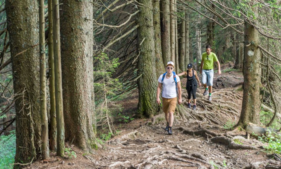 Abstieg zur Briedleralpe