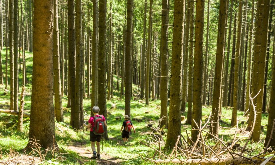 Helmut Düringer Auf dem Weg zur Feldkircher Hütte
