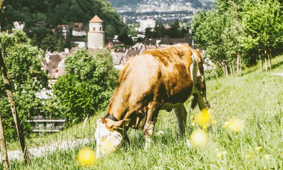 @ Nadine Jochum .jpg.jpeg