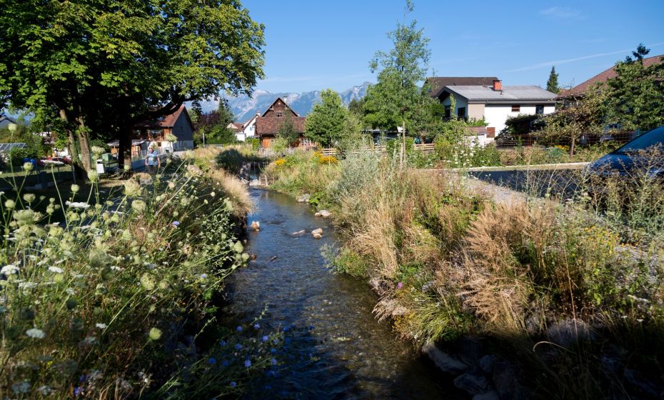 Renaturierung Mühlbach Rankweil Renaturierung Mühlbach Rankweil