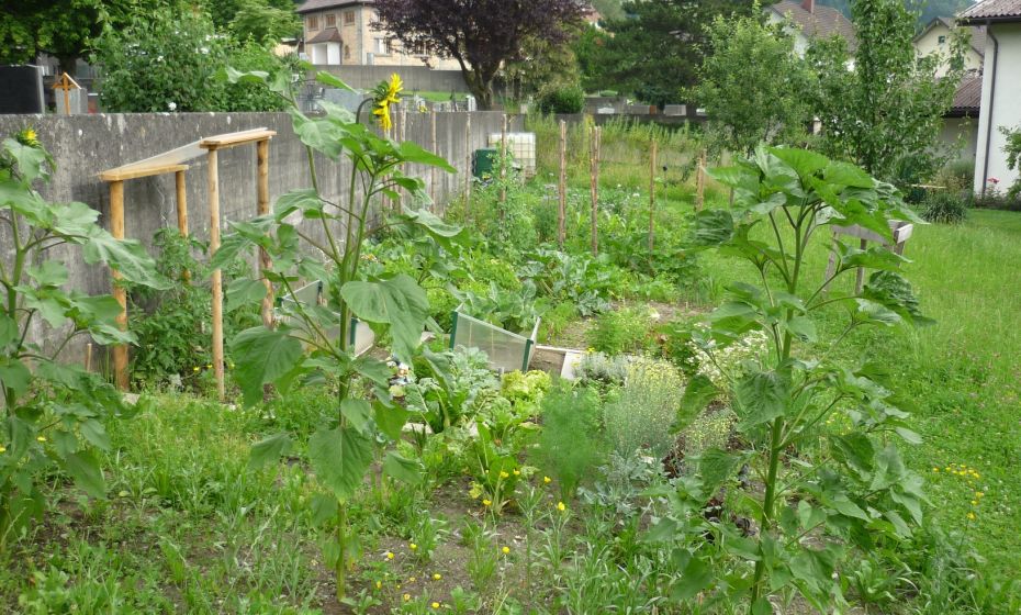 Gemeinde Göfis - Gemeinde Göfis Gemeinschaftsgarten