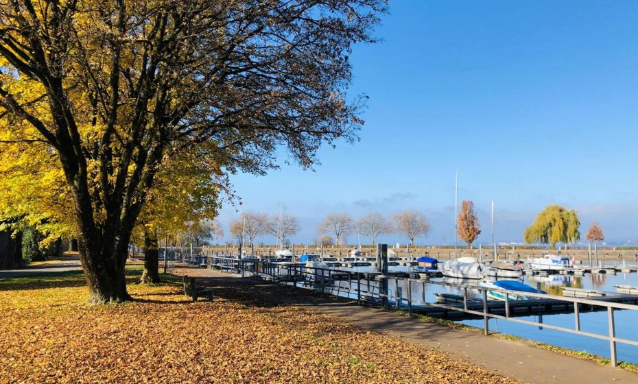 Ferienwohnung Bregenz 6 top 1