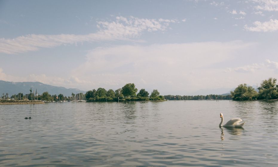 Hard Grüner Damm Hard Grüner Damm