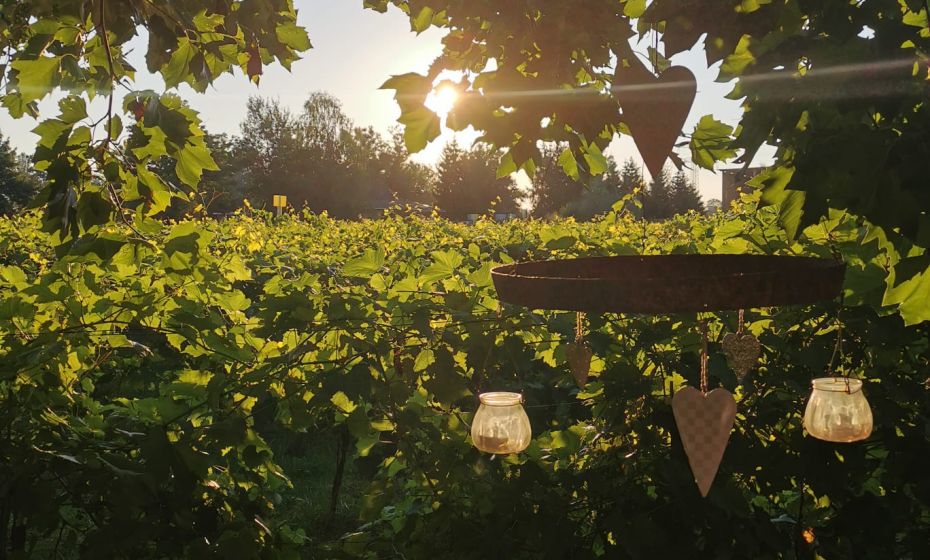 Weinschenke Echt Dornbirn (c) Weinschenke Echt Weinschenke Echt Dornbirn (c) Weinschenke Echt