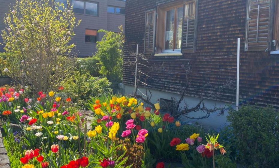 mama käthe - Apartments mama käthe - Apartments