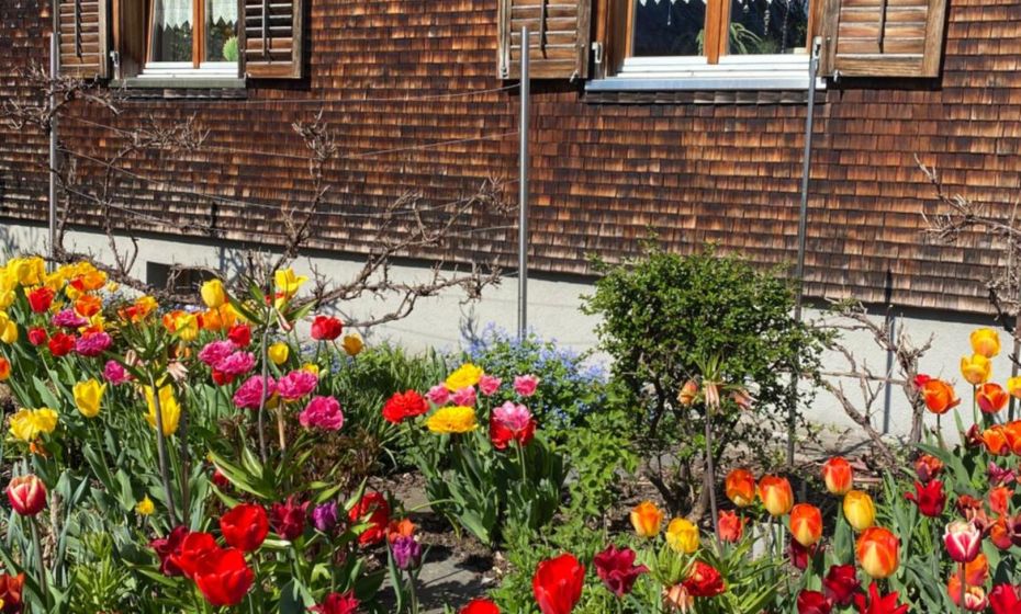 mama käthe - Apartments mama käthe - Apartments