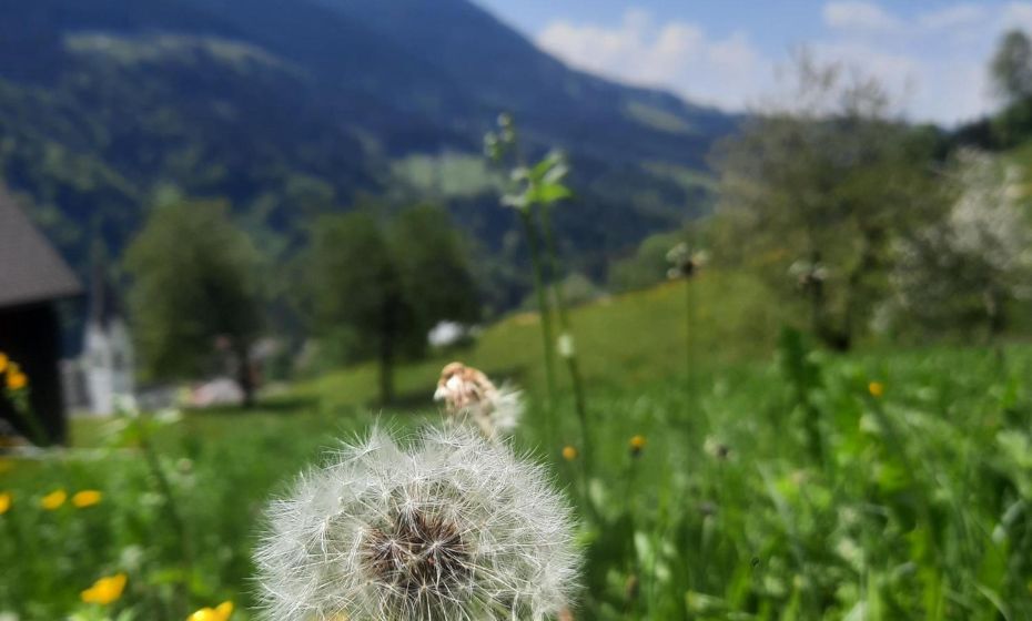 Sunnaschi Appartements - Wohnungen oder gesamt als "Hütte" Sunnaschi Appartements - Wohnungen oder gesamt als "Hütte"