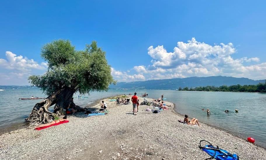 Seeparkvilla â Wohlfühlen am See und im Grünen Seeparkvilla â Wohlfühlen am See und im Grünen