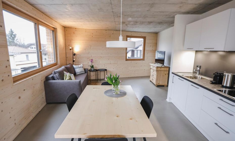 BOUTIQUE APARTMENTS LUSTENAU Nachhaltige Kühlung über Erdsonde und Fussbodenkühlung BOUTIQUE APARTMENTS LUSTENAU Nachhaltige Kühlung über Erdsonde und Fussbodenkühlung