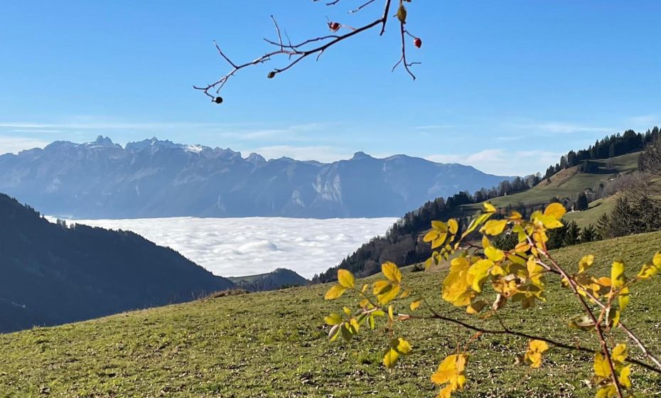 Negrelli Appartement Negrelli Appartement