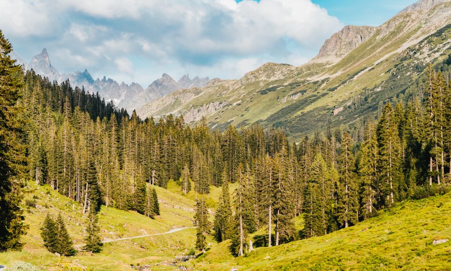Biketour ins hintere Silbertal