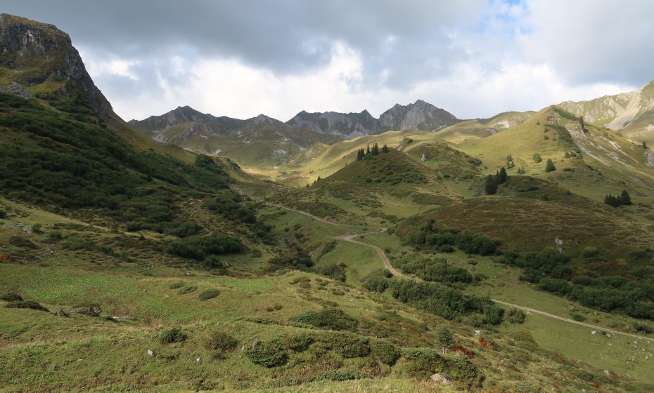 __NO_NAME__ __NO_NAME__