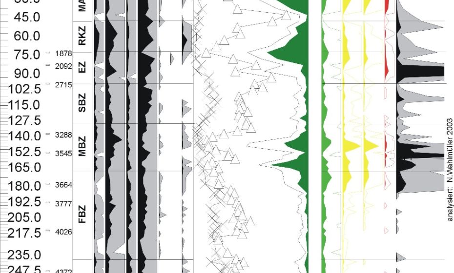Prof. Dr. Rüdiger Krause und Mitarbeiter, Institut für Archäologische Wissenschaften der Goethe-Universität Frankfurt am Main - Prof. Dr. Rüdiger Krause, Montafon-Projekt der Goethe-Universität Frankfurt am Main Pollenprofil Moor Tschuga