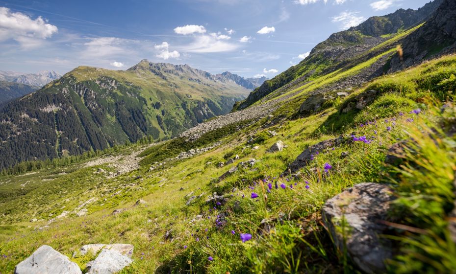 Stefan Kothner Blick zum Fellimännle und Lobspitze