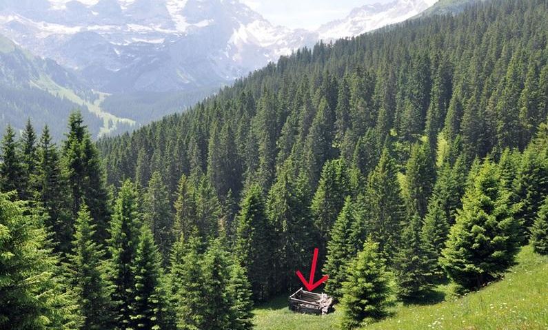 Christina Wachter - www.kfm.at Der zweite Hinweis