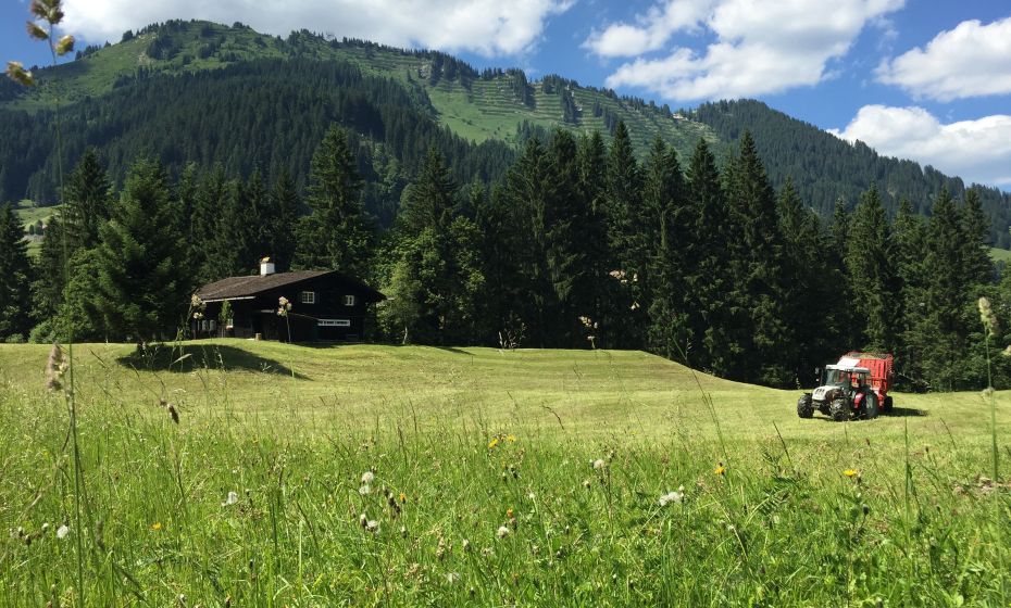 Gemsteltal im Sommer