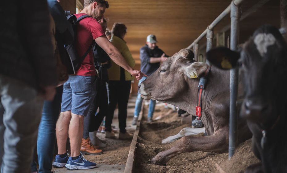 LÃ¤ssers SchlÃ¶ssle Hof Hard