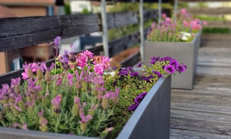 Ruhige Stadtwohnung, 107 m2