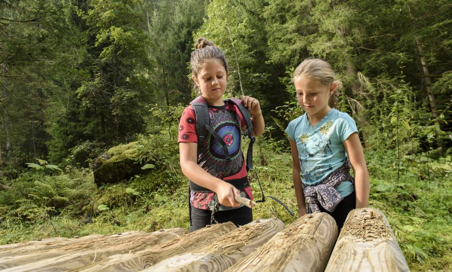 Patrick Säly - Gemeinde Silbertal Hangelbalken