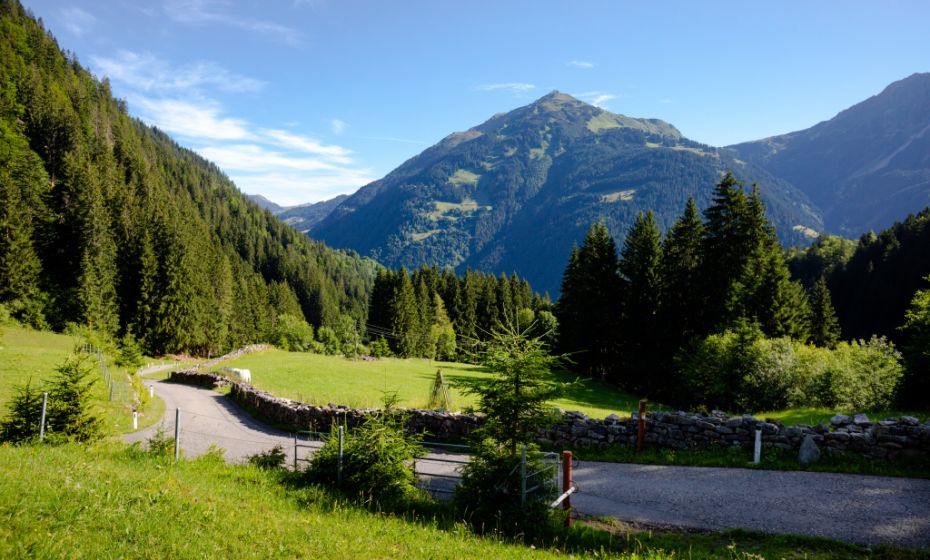 __NO_NAME__ __NO_NAME__