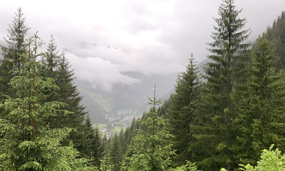 __NO_NAME__ __NO_NAME__