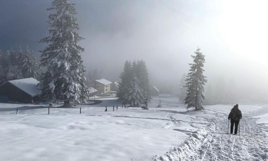 Holiday Home Runnimoos-3 by Interhome