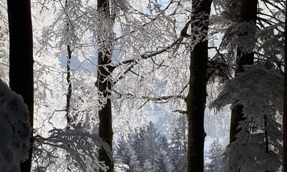 Ferienwohnung Beate Ferienwohnung Beate
