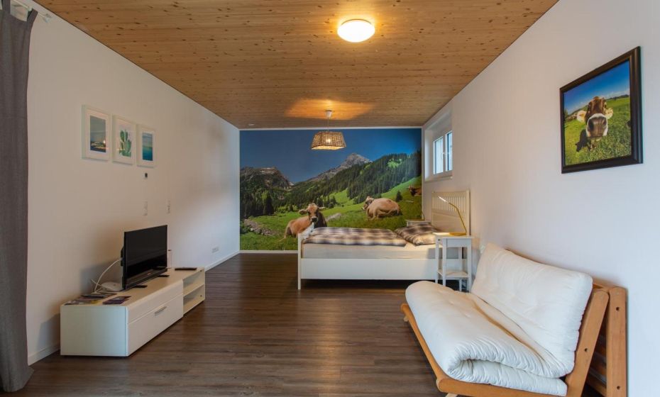 FLEXhome your central, calm and cosy place in Dornbirn FLEXhome your central, calm and cosy place in Dornbirn
