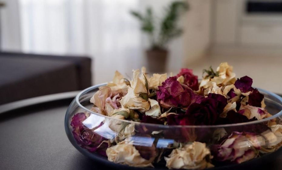 Ferien im Paradies - Wohnung Vera