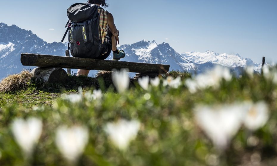 Rast beim DÃ¼nser Ãlpele, Walgau