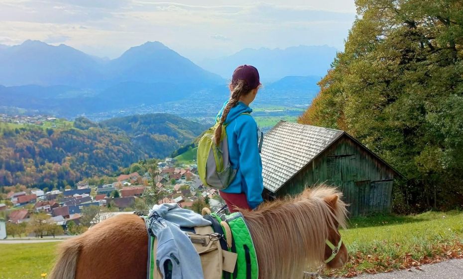 hufwÃ¤rts ponytrekking 3.jpg