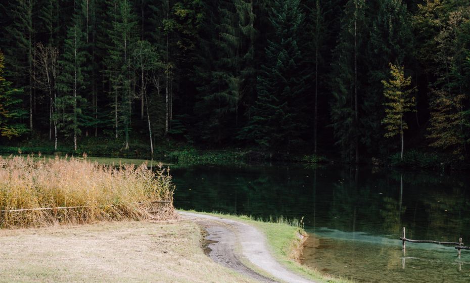 Fallersee in Schnifis Â©Buero Ludwina, Bodensee-Vorarlberg Tourismus (7).jpg