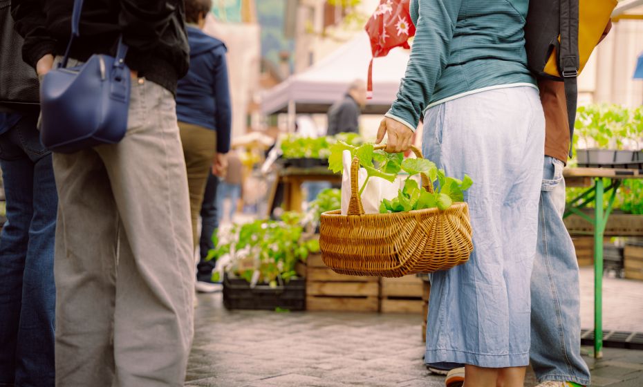 Bio-Jungpflanzenmarkt Bio-Jungpflanzenmarkt