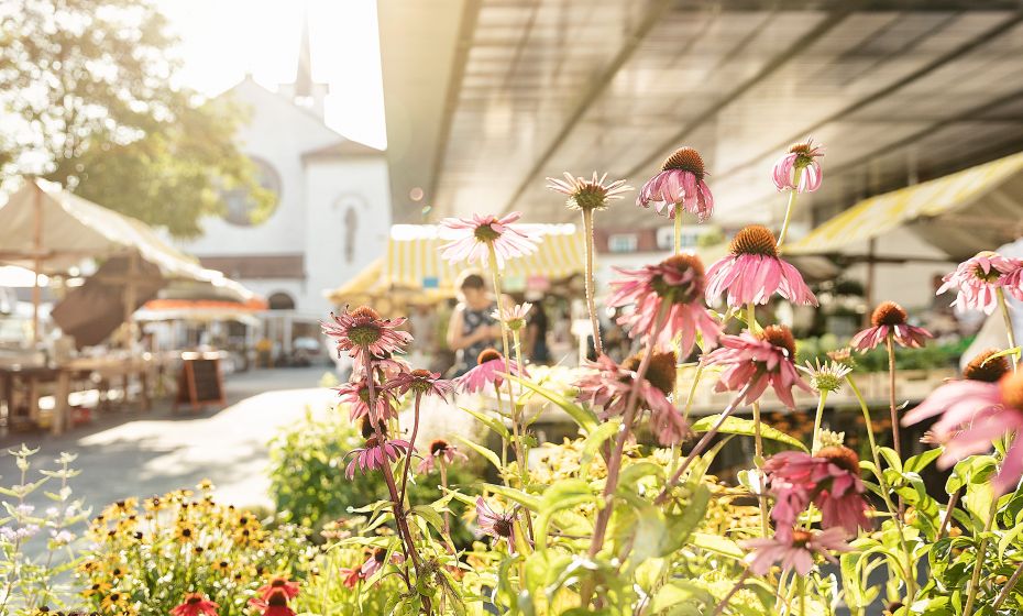 2021_KrÃ¤utermarkt@Lukas HÃ¤mmerle (45).jpg