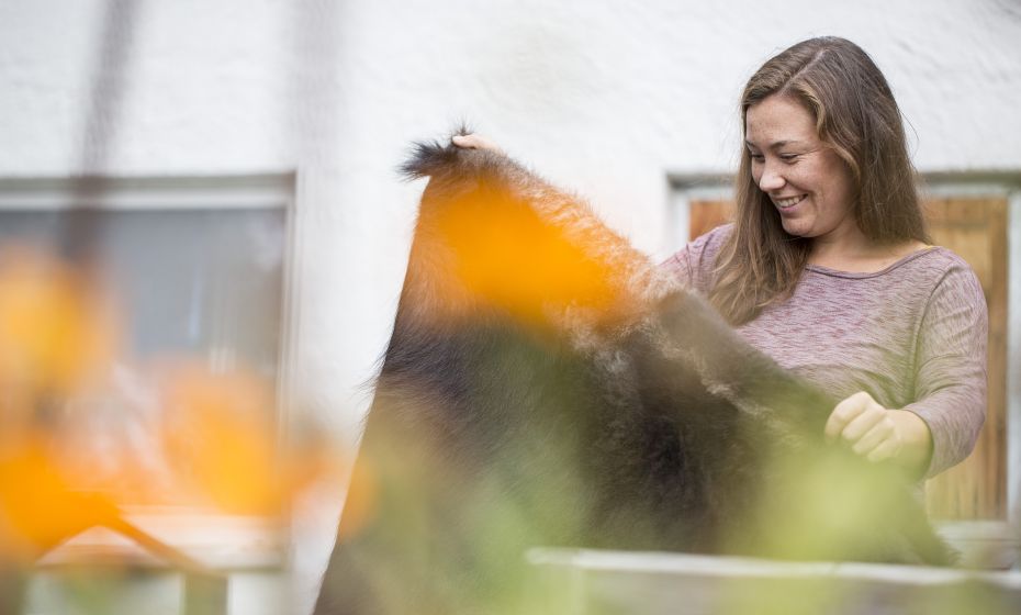 Yak Halden, Lochau Yak Halden, Lochau